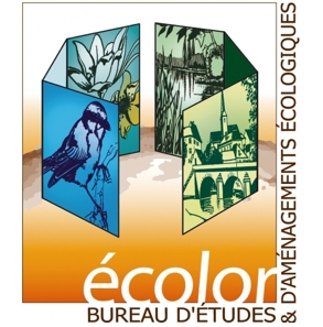 Logo Ecolor - Bureau d'études