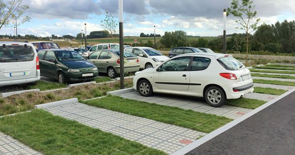 Etude - Biodiversité des sols de parkings végétalisés